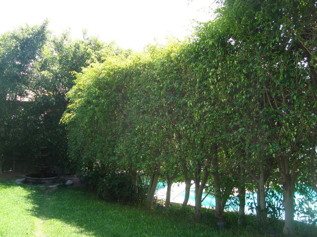 Hotel Teques Inn Tequesquitengo Esterno foto